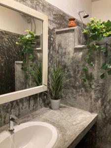 une salle de bain avec un lavabo et des plantes en pot au mur dans l'établissement Villa Vita Unawatuna, à Unawatuna