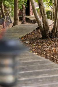 a wooden path in a park with trees at Time-Out Zussen in Riemst +96 photos