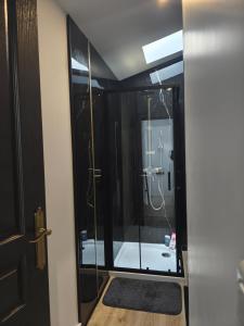 un bagno con doccia con porta in vetro di Le boudoir des jouissances perverses a Chasse-sur-Rhône