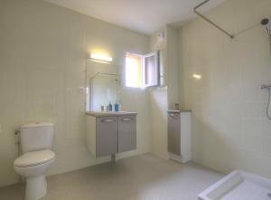 a bathroom with a toilet and a sink and a mirror at Les Gites de la Calonne in Guéreins +80 photos