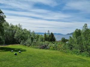 にあるClose to Eve Airport, Perfect Northen Light Spotの水面草原 +46枚の写真