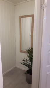 にあるClose to Eve Airport, Perfect Northen Light Spotの鏡と鉢植えの廊下