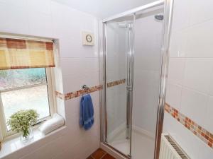 une douche avec une porte vitrée dans une salle de bain dans l'établissement Hayloft, à Henley 21 autres photos