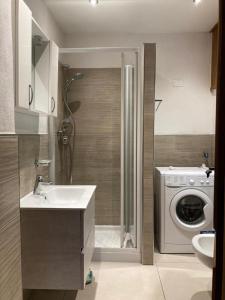 a bathroom with a sink and a washing machine at Appartamenti Elda Zandegiacomo in Auronzo di Cadore
