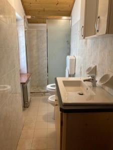a bathroom with a sink and a toilet and a shower at Appartamenti Elda Zandegiacomo in Auronzo di Cadore