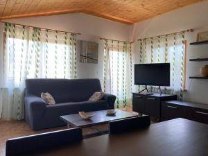 a living room with a couch and a tv at Appartamenti Elda Zandegiacomo in Auronzo di Cadore
