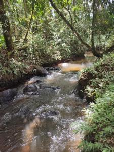 Fotografie z fotogalerie ubytování Casa de Campo Caminho do Petar - Rancho Quemeninho v destinaci Apiaí