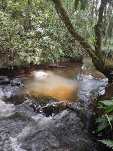 Fotografie z fotogalerie ubytování Casa de Campo Caminho do Petar - Rancho Quemeninho v destinaci Apiaí