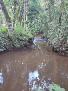Fotografie z fotogalerie ubytování Casa de Campo Caminho do Petar - Rancho Quemeninho v destinaci Apiaí
