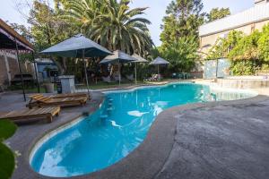 サンティアゴにあるラ カサ ロハ ホステルのパラソルとベンチ付きのスイミングプール