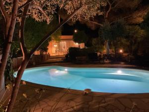 a swimming pool in a yard at night at Les cigales in Saint-Raphaël