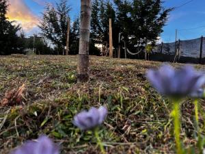 Ảnh trong thư viện ảnh của Cabaña El Sol ở Rionegro