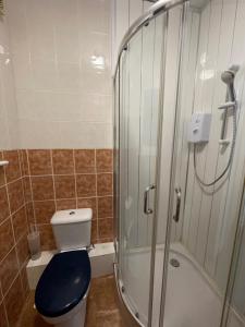 a bathroom with a toilet and a glass shower at Budget Stay In Luton 02 05 in Luton