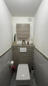 Un baño con un inodoro blanco en una habitación. en Modern apartment with sunny terrace, en Niza