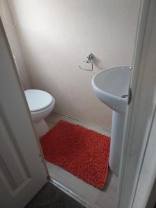 a bathroom with a toilet and a sink and a red rug at Rosie's Rest in Aberaeron +5 photos