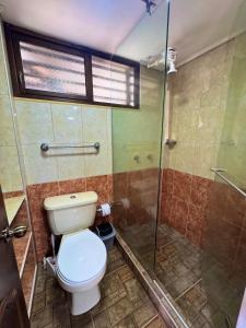サレントにあるCalle Real Houseのトイレとガラスのシャワー付きのバスルーム