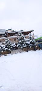 a group of trees in the snow in front of a building at Twins in Korçë