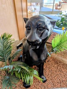 Κατοικίδιο ή κατοικίδια επισκεπτών που μένουν στο Villa Steinmetz - Mit Whirlpool bei Köln