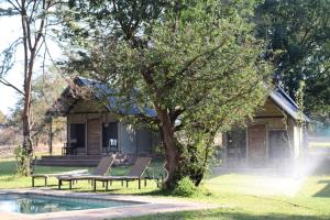 a house with a tree and chairs next to a pool at Mongwe Safari Camp 