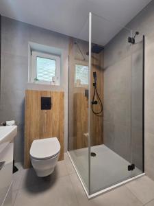 a bathroom with a shower with a toilet and a sink at EIRA Apartament - Self check-in in Szklarska Poręba