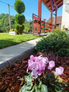 Gallery image of Kuća za odmor Ria in Gornja Voća