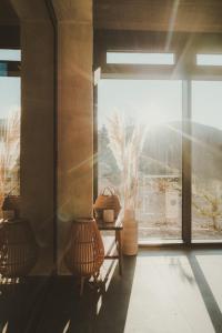 Billede fra billedgalleriet på Zatoka wine house 