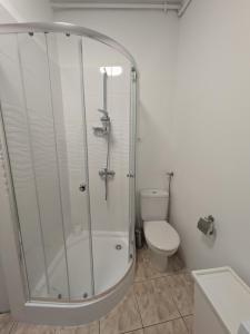 eine Duschkabine in einem Badezimmer mit Toilette in der Unterkunft Pejta in Chojnice + 18 Fotos