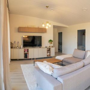 een woonkamer met een bank en een tv bij Villa Valaja in Rovaniemi