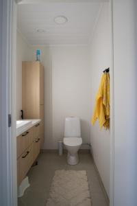 een badkamer met een wit toilet en een wastafel bij Villa Valaja in Rovaniemi +11 foto's