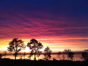 Φυσικό τοπίο κοντά σε αυτό το διαμέρισμα