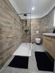 a bathroom with a shower and a toilet and a sink at L'écrin des Halles 81 m2 Alès center 8 Beds in Alès