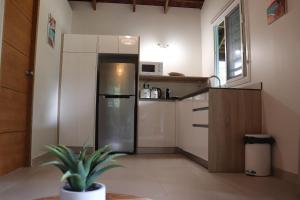 パペトアイにあるBlue Bungalow Mooreaのキッチン(冷蔵庫、植物付)
