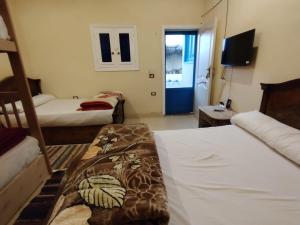 Imagen de la galería de Slow Tunis, en El Fayum