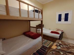 Imagen de la galería de Slow Tunis, en El Fayum