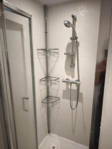 a bathroom with a shower and a toilet with shelves at Chez Mimi in Beaurepaire