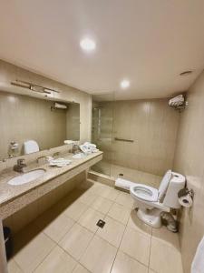 a bathroom with a toilet and a sink at New Nairi Hotel Yerevan in Yerevan