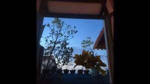 a view of a window with a flower in it at Santo Antônio Além do Carmo - apartamento com varanda e vista pro mar, até 3 pessoas in Salvador