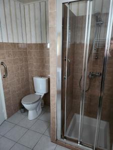 a bathroom with a toilet and a shower at Chez David et Julie in La Bouverie