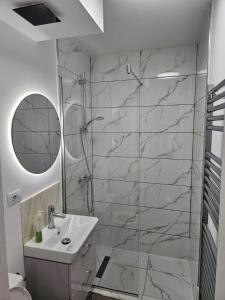 a bathroom with a shower and a sink and a mirror at Luxury Studio in Onești