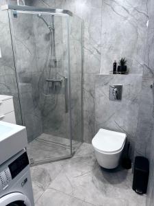 een badkamer met douche en toilet bij Feliz Stay in Šiauliai