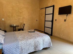 une chambre avec un lit et une télévision à écran plat dans l'établissement Hospedaje Jardin, à Ocosingo