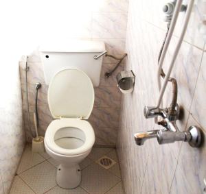 a bathroom with a toilet and a shower at WESTFIELD GARDENS and ACCOMODATION in Namulanda +7 photos