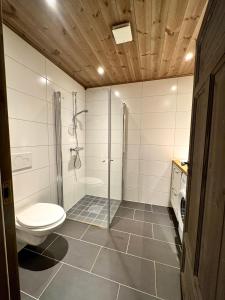 ein Badezimmer mit Toilette und Glasdusche in der Unterkunft Alpine Crown Trysil in Trysil
