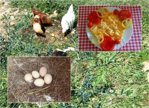 Φωτογραφία από το άλμπουμ του Pansion CASA GAGRO σε Međugorje