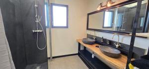 bagno con 2 lavandini e doccia con specchio di Chez Emilien 3 chambres 3 salles d'eau 8 couchages a Arcizac-Adour