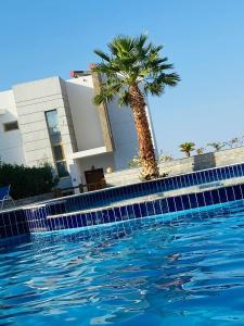 a palm tree in front of a building with a swimming pool at Hurghada Sky Villa in Hurghada