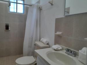 een badkamer met een wastafel, een toilet en een douche bij Casa para toda la familia o amigos Zona Industrial Monterrey in Monterrey