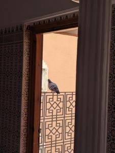 a bird sitting on the door of a building at Appartement City Center in Ouarzazate +24 photos