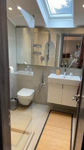 ヴァルナ・シティにあるSea Sky Houseのトイレ、洗面台、シャワー付きのバスルーム