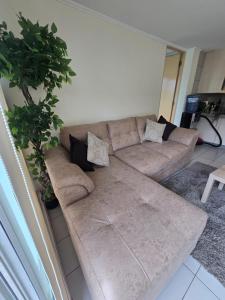 brązowa kanapa w salonie z rośliną w obiekcie Departamento PREMIUM Amplio 2 camas matrimoniales 2 Baños con Estacionamiento Gratis privado w mieście Santiago
